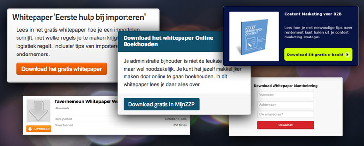 Goede landingspagina’s zijn voorzien van een krachtige aanbieding, bijvoorbeeld in de vorm van een whitepaper download.