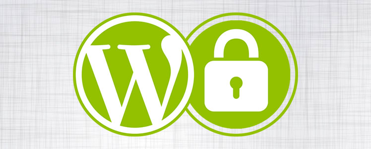 SSL Beveiliging voor je WordPress website is eenvoudig in te stellen met onze handleiding.