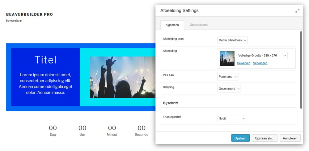 In Beaver Builder kun je diverse modules gebruiken