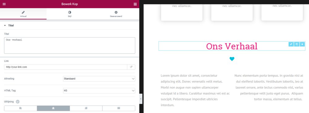 De titel bewerken in Elementor pagebuilder