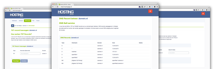 Hosting2GO - DNS Beheer